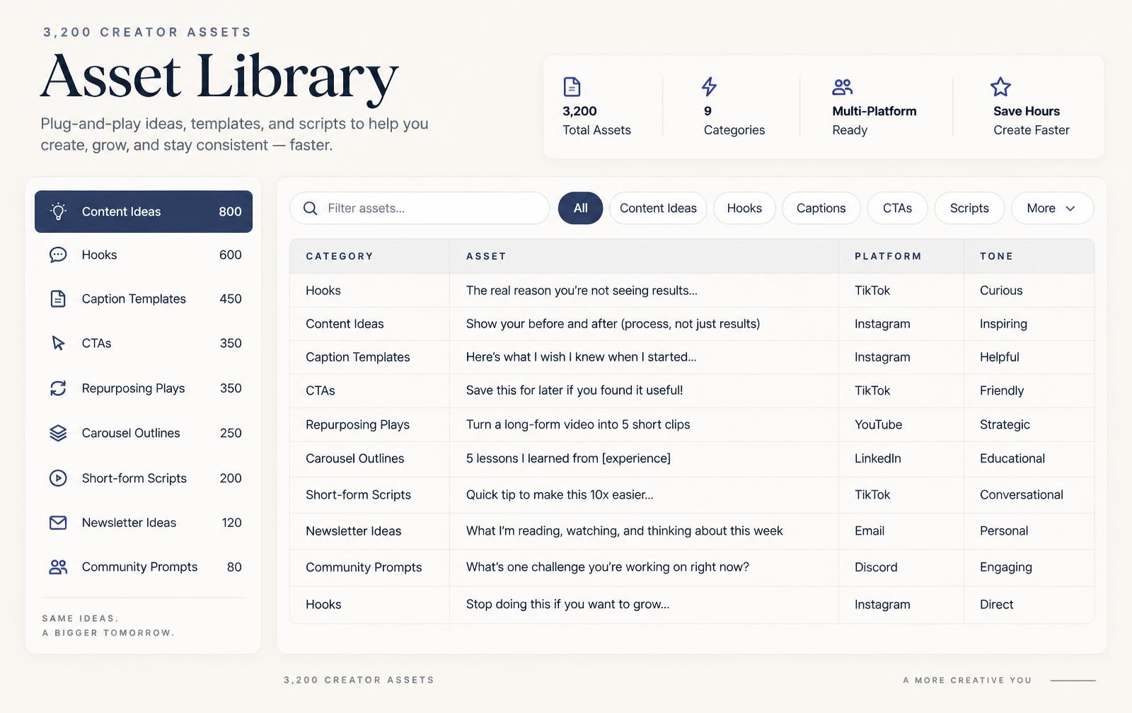 Asset library template listing nine categories with counts and a filterable table of hooks, captions and scripts